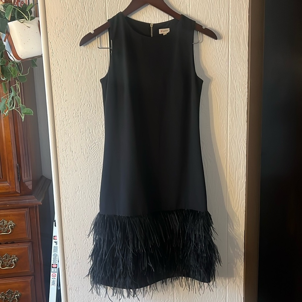 Feather Accent Dress